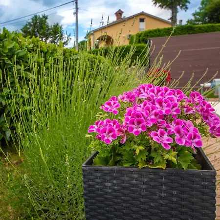 Apartamento Adrian-1 By Interhome *