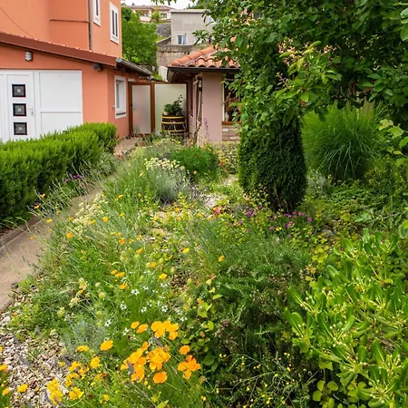 Apartamento Adrian-1 By Interhome