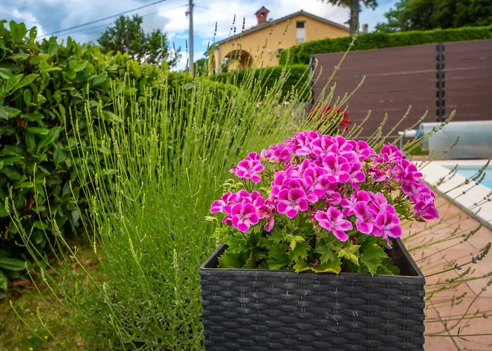 Apartment Adrian-1 By Interhome *